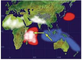 Image result for Thomandersia butayei