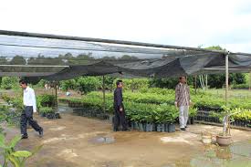 Pejabat pertanian daerah rompin, jalan dato ibrahim, bandar baru (200.12 km) 26800 kuala rompin, pahang. Sm Pendidikan Khas Vokasional Kuantan Lawatan Ke Jabatan Pertanian Negeri Pahang