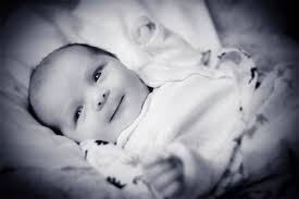 Marcus Salter Photographer