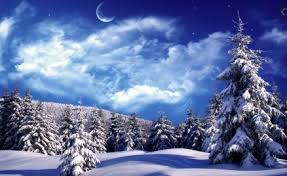 Trees are covered in snowy powder, kids with snow are fun and louder. Winter Season Essay For Studnets And Children Short And Long Essay On Winter Season A Plus Topper