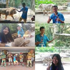 Hailing from africa's timbavati and. Brand Ambassador Program At Sunway Lagoon Wildlife Park Our Students Will Be Speaking Here Yeah Brand Ambassador Program Brand Ambassador Wildlife Park