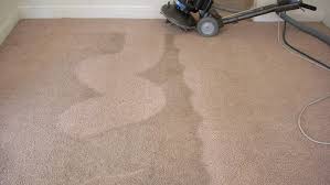 Clean carpets make your whole home look cleaner and create a good first impression when people visit your home or business for the first time. The 10 Best Carpet Cleaning Services In Dallas For Pet Stains Compare Them Here