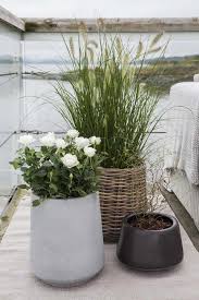 Terasy Album Uzivatelky Racice75 Modrastrecha Cz Vorgarten Garten Garten Pflanzen