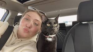 My boy Novah has gone missing early hours this morning, Queen st/ Dickson  rd… if anyone sees him, please message me! I've been out looking for him  and can't find him anywhere..