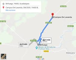 We did not find results for: Campos De Lavanda En Brihuega Guia 2021 El Rincon De Sele
