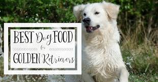 Best Dog Food For Golden Retrievers Is It Raw Or Commercial Kibble Dog Food Recipes Best Dog Food Best Dog Food Brands