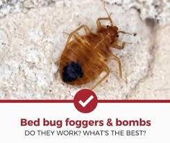 Raid concentrated deep reach fogger is ideal for car use, as it is made to penetrate hard to reach places. Top 2 Best Bed Bug Bomb Foggers 2021 Review Pest Strategies