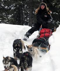 Dec 01, 2016 · i this video, i show you all of the riders and customization options avaialable to players upon the launch day of steep. The 2013 Iditarod Sled Dog Race Across 1 000 Miles Of Snowy Wilderness In Alaska