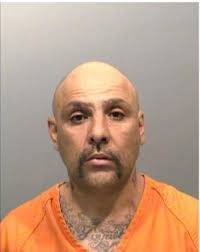 Three brothers who led gang that assaulted, killed, get long sentences