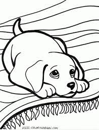 21 Pretty Image Of Puppy Coloring Pages Entitlementtrap Com Horse Coloring Pages Puppy Coloring Pages Dog Coloring Book