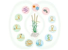We did not find results for: Genome Biology Home Page