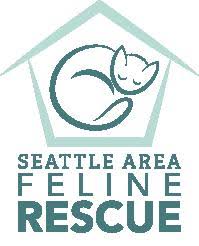 Thank you for considering adoption! Pets For Adoption At Seattle Area Feline Rescue In Shoreline Wa Petfinder