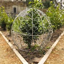 Topiary Trimming Topiary Frames Harrod Horticultural Topiary Backyard Landscaping Designs Topiary Garden