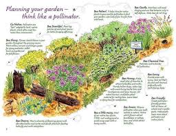 Pollinator Bee Map Pollinator Garden Pollinator Garden Design Bee Friendly Garden