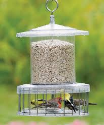 Large Bird Bath For Cage All Weather Feeder With Wire Cage With Images Bird Feeders Large Bird Feeders Wild Bird Feeders