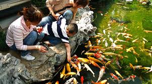 رحلة تايلاند ماليزيا بوكييت كوالالمبور نصف العام 2 المازن للسياحة