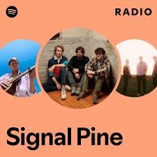 Signal Pine