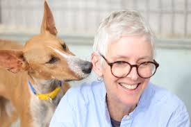 Films| Cricket Fine Art |