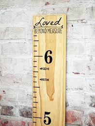 Final Day 30 Off Sale Diy Growth Chart Ruler Vinyl