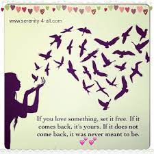 If it doesn't, then it was never meant to be. If You Love Something Set It Free If It Comes Back It S Yours If It Does Not Come Back It Was Never Meant To Be Art Beautiful Cool Photos