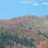 We specialize in rv appliances, electrical, plumbing, roof repair, and exterior/interior maintenance. Mobile Rv Service In Sparks Or Reno Nv General Rv Information Escapees Discussion Forum