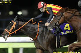 It's fully loaded with all the charms of villainesses!! ãããè¨å¿µ2019ã®ç«¶é¦¬äºæ³åæ 4ã¤ã®ãã¼ã¿ããå°ãåã¡é¦¬åè£