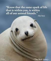 Be Good To Our Animal Friends Animals Friends Animals Animals Beautiful