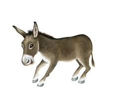 أمثال وحكم قيلت عن الحمار قالها المشاهير معبرة بالصور حكم و أقوال Animals Moose Art Moose