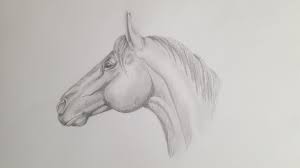 Tête de cheval | Crayon à papier, Tête de cheval, Dessin