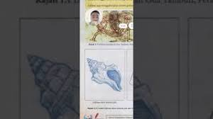 Dari fimbria, telur digerakkan oleh rambutrambut halus yang terdapat di dalam saluran telur menuju endometriosis adalah jaringan halus pembentuk uterus yang ditemukan berkembang di luar uterus. Psv Peralihan Bidang Seni Halus 1 Seni Lukisan Youtube
