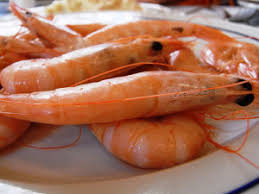 Puedo Comer Gambas Cocidas En El Embarazo Alimentacion En El Embarazo