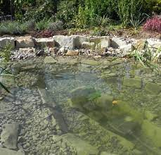 Der teich ist die krönung eines schönen gartens. Gartenteich Anlegen Schritt Fur Schritt Zum Wasserparadies Mein Schoner Garten