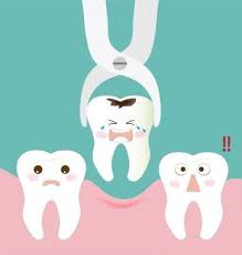 I don't think i've ever experienced such advanced equipment, fantastic advice, and treatment. Tooth Removal Tooth Extraction Auckland Stanmore Bay Dental Studio