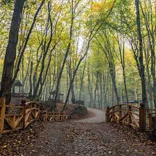 Hemen okuyabilir ve yorumlarınızı paylaşabilirsiniz. The Lungs Of Istanbul Belgrad Forest Blog Elite World Hotels