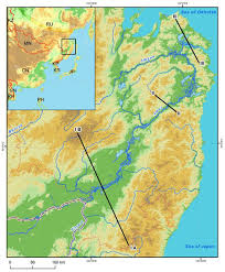 Image result for Hemarthria natans