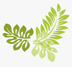 Png Jungle Leaf Transparent Jungle Leaf Leaves Border Design Transparent Png Download Transparent Png Image Pngitem Download our vectors in jpg and svg. png jungle leaf transparent jungle leaf