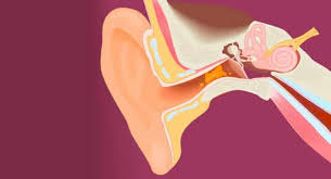 Como Limpiarse Los Oidos Escuchame Centros Audiologicos