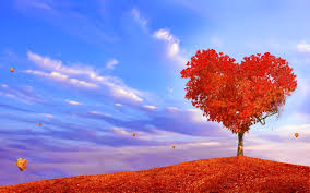 Image result for amor eterno