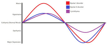Bipolar Disorder Diseased Minds