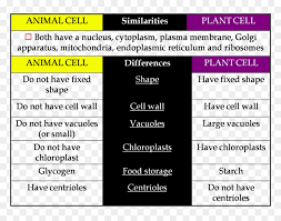 We did not find results for: Transparent Plant Cell Clipart Similarities And Differences Of Animal And Plant Cell Hd Png Download Vhv