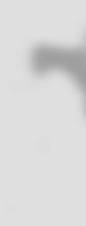 Image result for ior istituto opere religiose march symbol logo