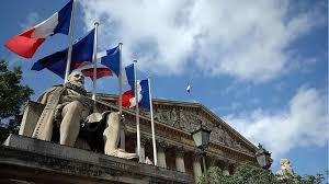 Dissertation de droit constitutionnel : France Le Conseil Constitutionnel Censure Les Interdictions De Manifester