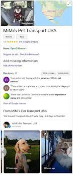 What is a pet travel agent? Mimi S Pet Transport Usa Safest Private 48hr Ground Transportation