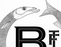 Check spelling or type a new query. Barracuda Projects Photos Videos Logos Illustrations And Branding On Behance