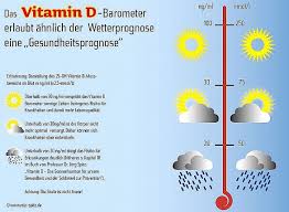 Und wie viel davon braucht der mensch überhaupt? Deshalb Mussen Sie Zwingend Ihren Vitamin D Spiegel Kennen Topfruits Infothek