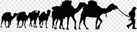 190 desert camels stock vector art and graphics. Desert Safari Png Images Pngwing