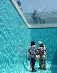 We Have The Product For This Lsi Magic Pool Museum Of Contemporary Art Pool Installation Art