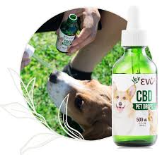 Cbd oil pet tinctures, cbd treats, crunchy bites and biscuits, capsules and pills. Evo3 Cbd Natural Full Spectrum Cbd Oil Products Humans Pets