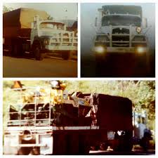 Image result for Irish White 1980 Kwikasair