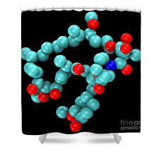 Image result for Sirolimus